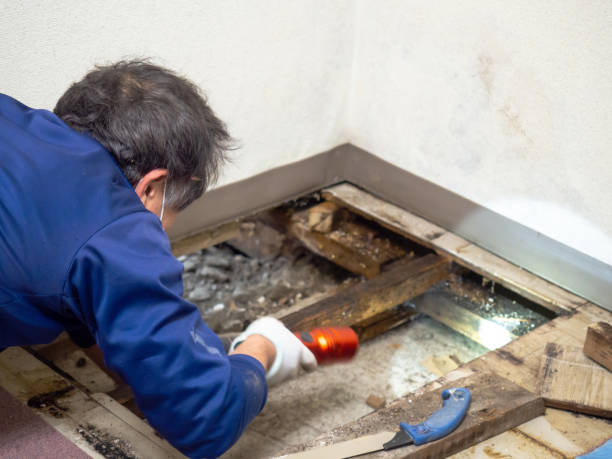 Best Mold Testing  in Dodgeville, WI