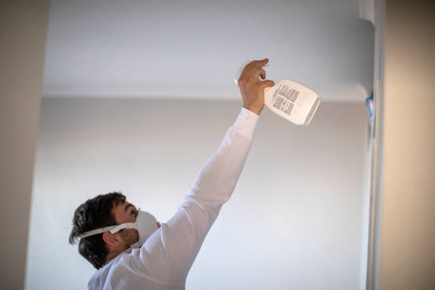 Best Black Mold Removal  in Dodgeville, WI