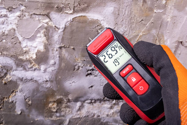 Best Toxic Mold Removal  in Dodgeville, WI