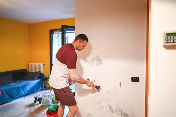 Best Office Mold Removal Services  in Dodgeville, WI